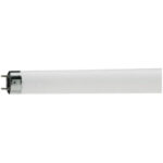 Лампа люминесцентная Philips TL-D G13 18W/33-640 SLV (короткая)