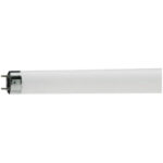 Лампа люминесцентная Philips TL-D G13 36W/33-640 SLV (длинная)