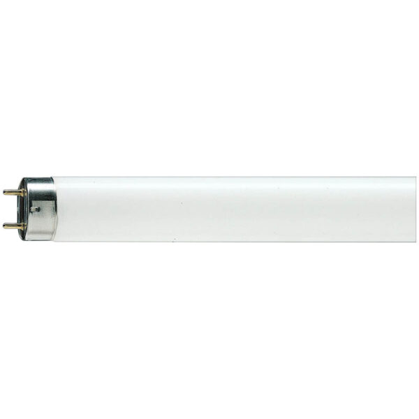 Лампа люминесцентная Philips TL-D G13 18W/54-765 SLV (короткая)
