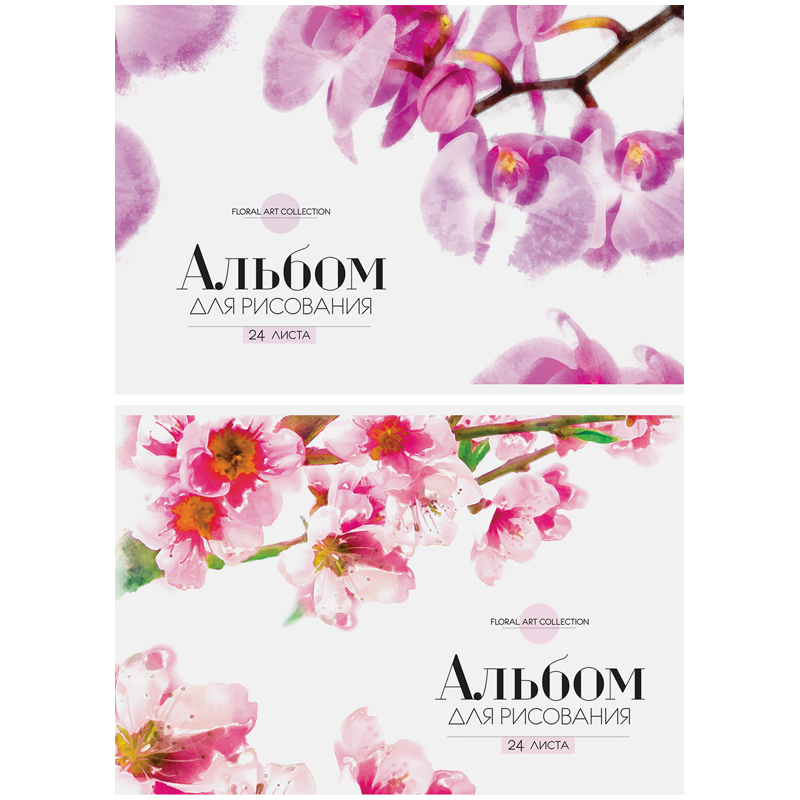 Альбом для рисования 24л., А4, на скрепке ArtSpace "Цветы. Floral art", обл., офсет