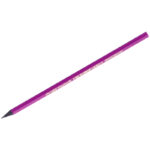 Карандаш ч/г Bic "Evolution Miss" HB, заточен., пластиковый