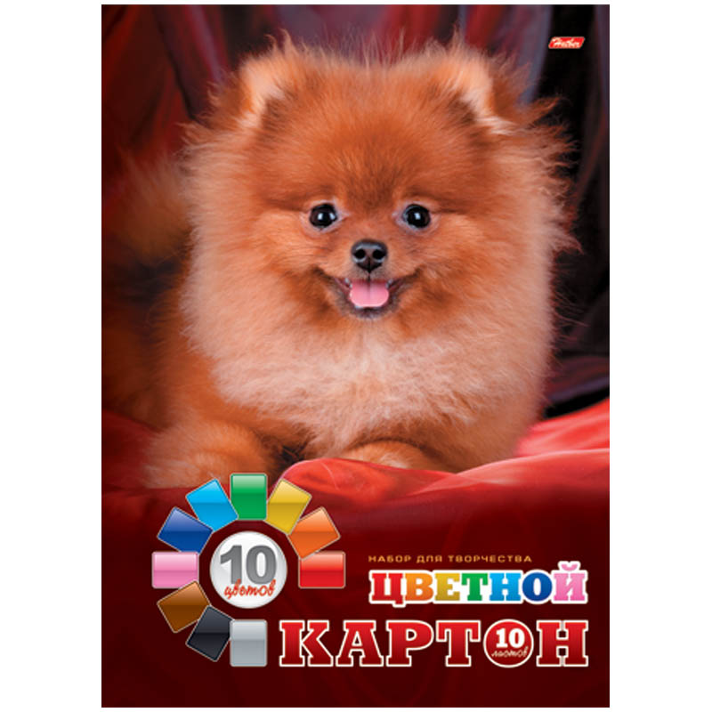 Картон цветной A4, Hatber, 10л., 10цв., мелованный, в папке