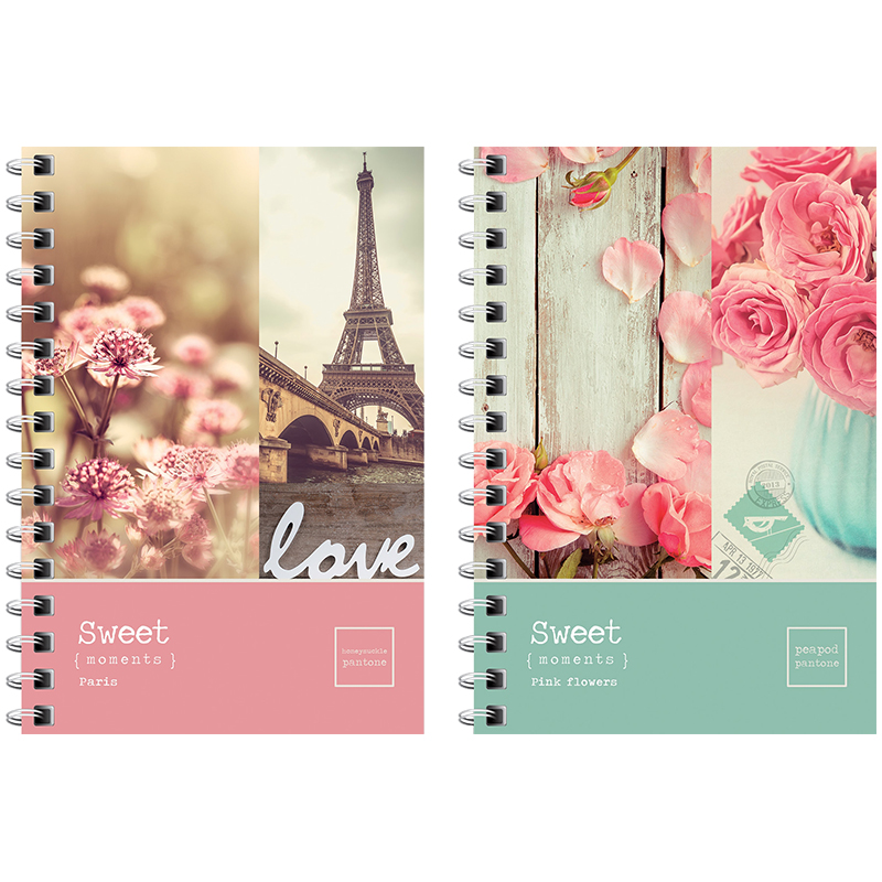 Записная книжка А6 120л. на гребне "Стиль. Sweet moments"