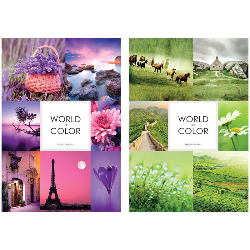 Записная книжка А6 80л. на гребне "Стиль. World of color"