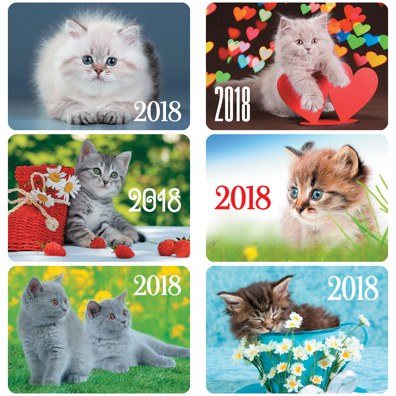 Календарь карманный Hatber "Котята", глянцевая ламинация, 2018г.