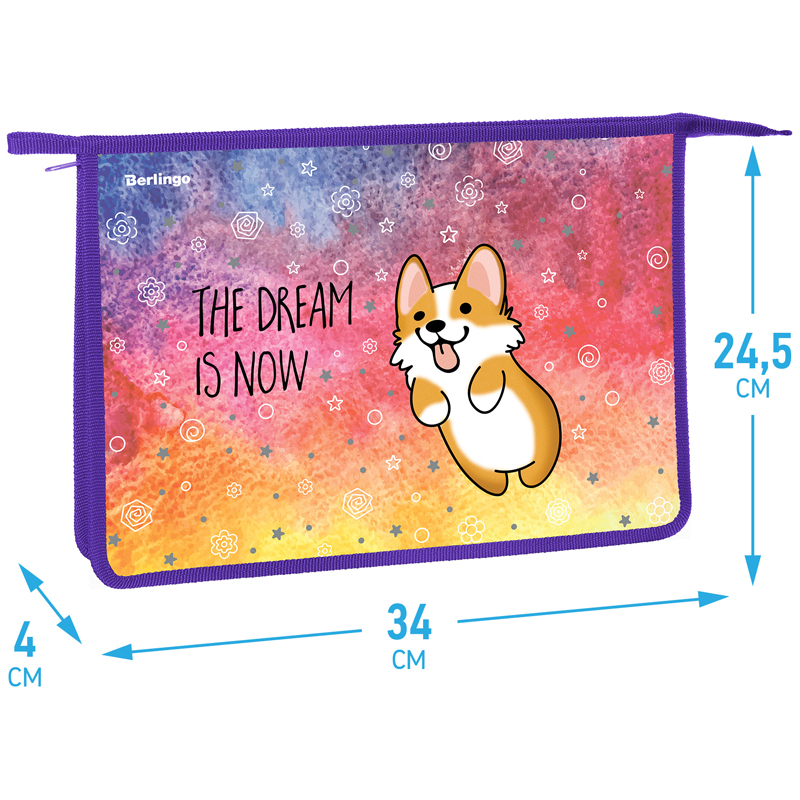 Папка для тетрадей 1 отделение, А4 Berlingo "Corgi boy", 340*245*40мм, пластик, на молнии