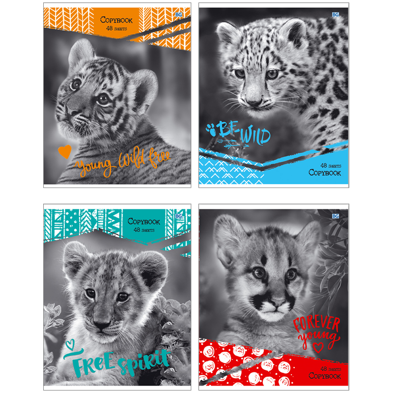 Тетрадь 48л., А5, линия BG "Wild kitten", эконом