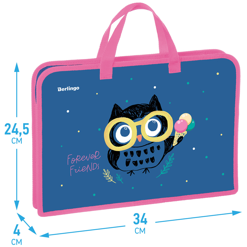 Папка с ручками 1 отделение А4 Berlingo "Funny owl", 340*245*40мм, пластик, на молнии