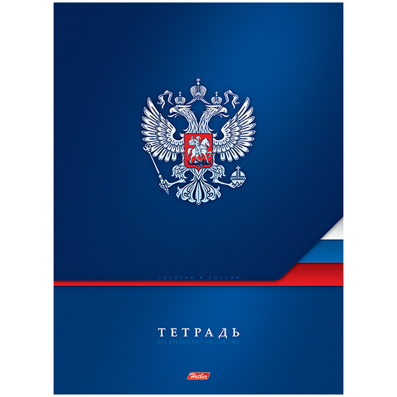 Тетрадь на кольцах А4, 160л., Hatber "Россия"