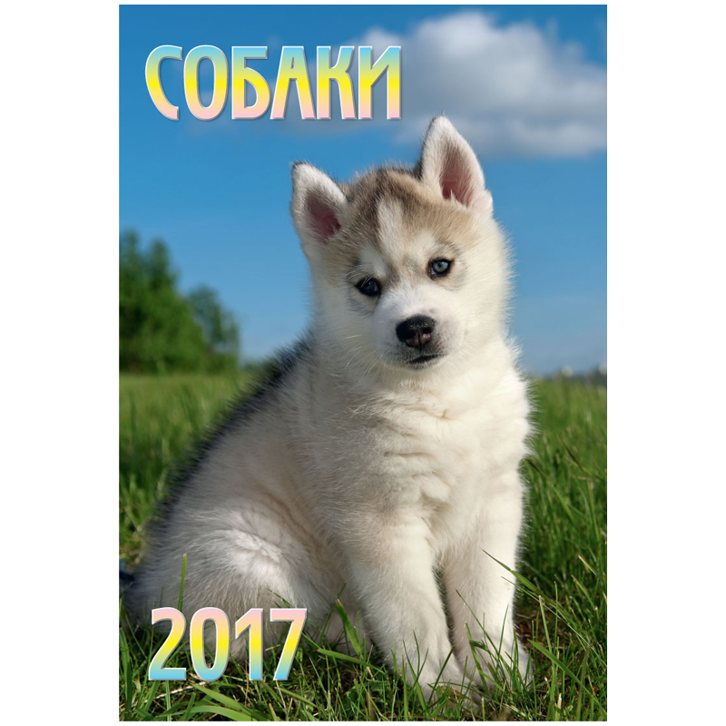 Календарь настен. перекид. на гребне "Щенки", 17*25 см, 6 л., 2017 г.