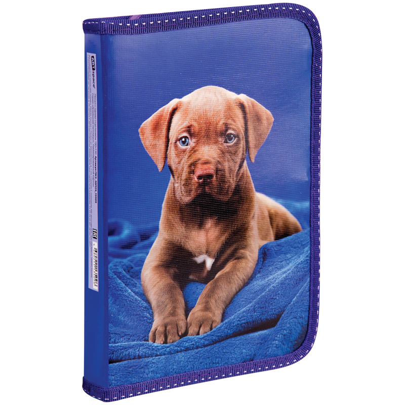 Пенал 1 отделение, 190*130 ArtSpace "Домашние питомцы", ламинация