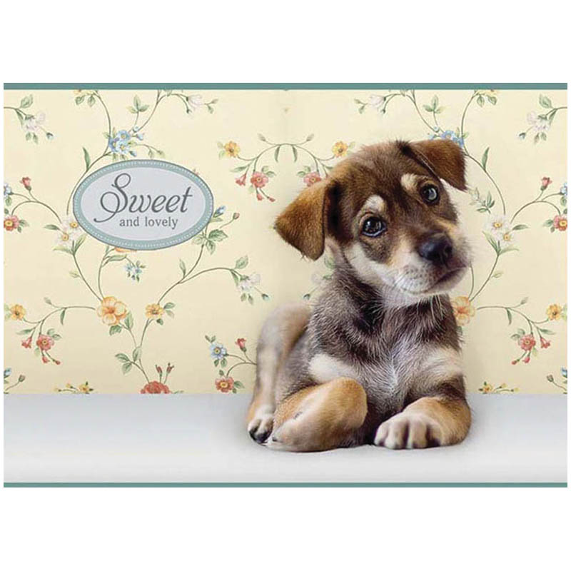 Альбом для рисования 24л., А4, на скрепке ArtSpace "Питомцы. Sweet pets", блок 100г/м2