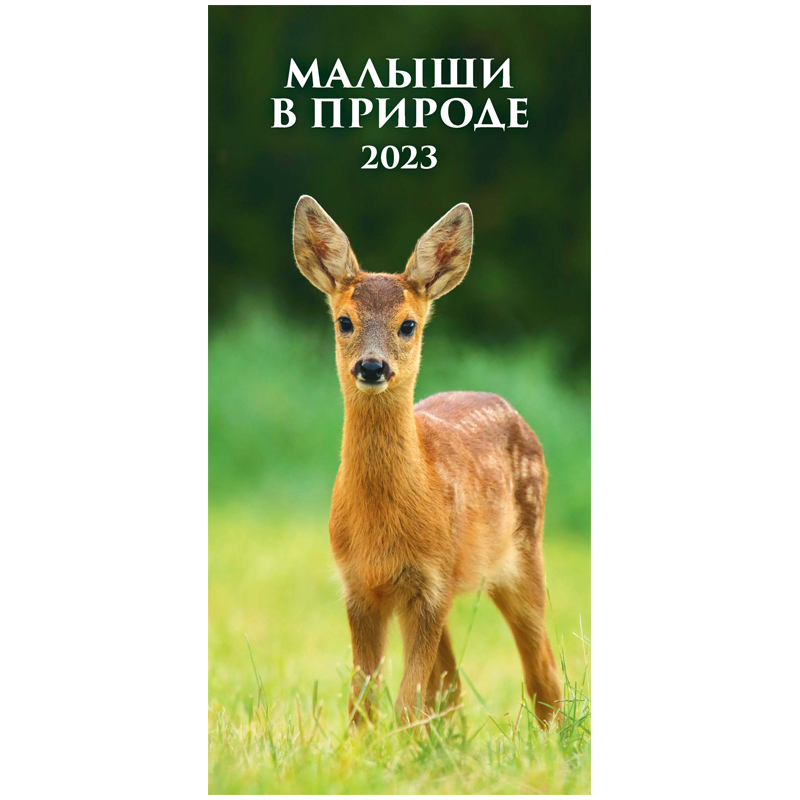 Календарь настенный перекидной на гребне, 16,5*33,5 6л. Атберг 98 "Малыши в природе", 2023г