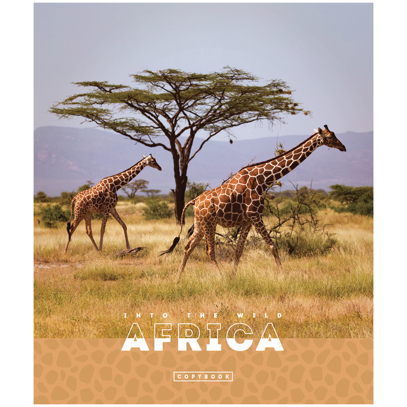 Тетрадь 48л., А5, клетка ArtSpace "Животные. Nature of Africa", суперэконом