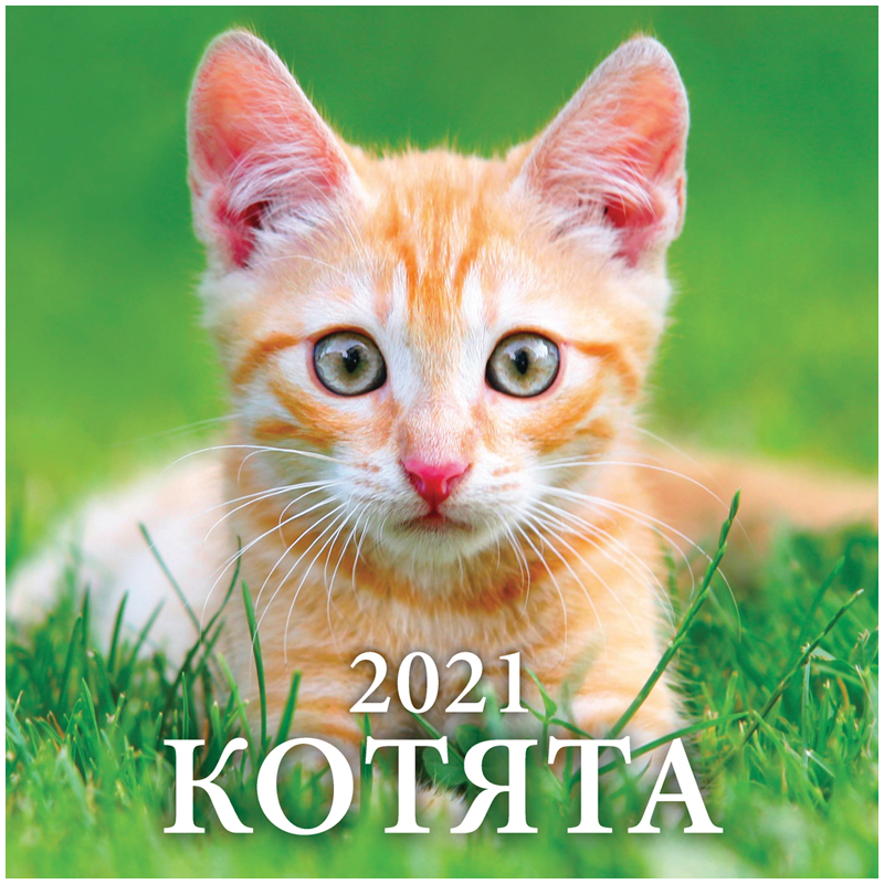 Календарь настенный перекидной на скрепке, 28,5*28,5 12 л. Атберг 98 "Котята", 2021