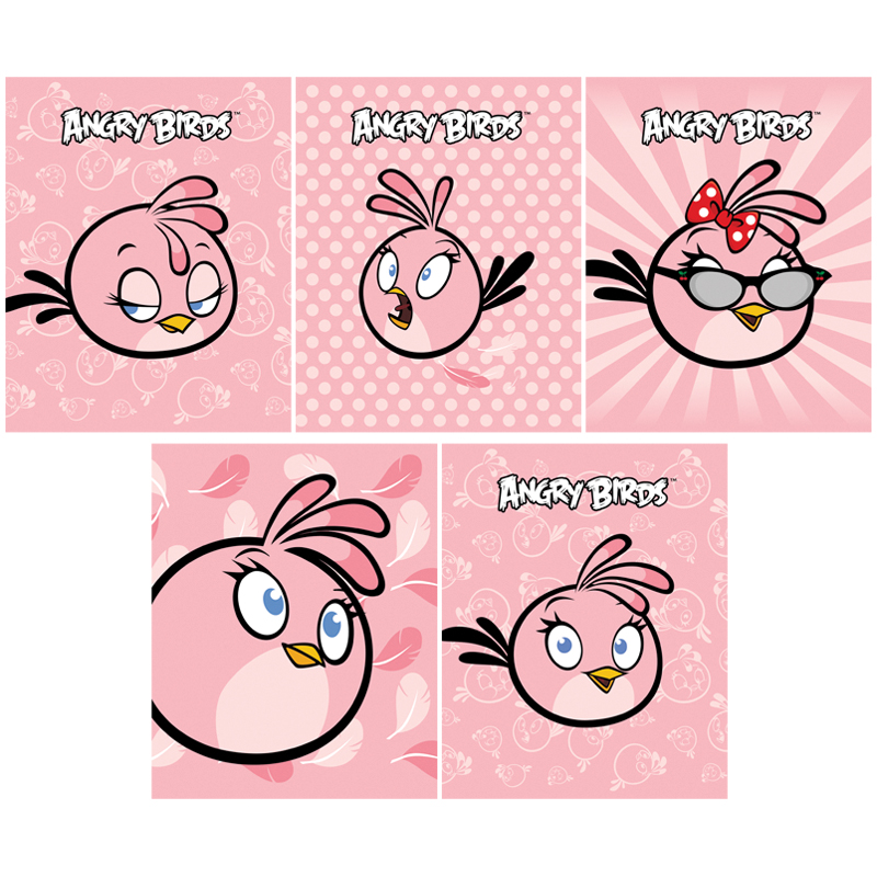 Тетрадь 48л., А5, клетка Hatber "ANGRY BIRDS_STELLA", Выпуск №2