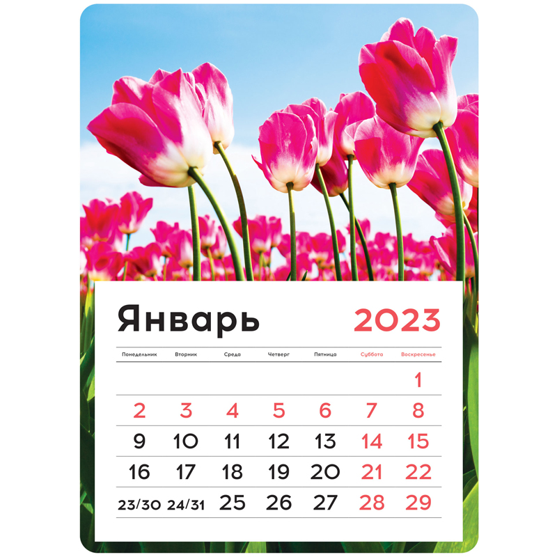 Календарь отрывной на магните 130*180мм склейка OfficeSpace "Mono - Flowers", 2023г.