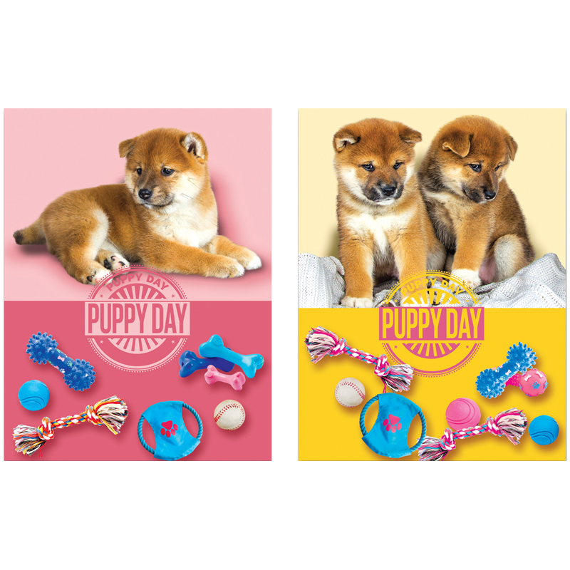 Бизнес-блокнот А6 64л. ЛАЙТ BG "Puppy day", глянцевая ламинация