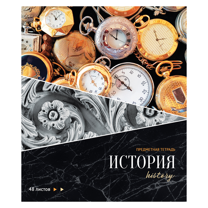 Тетрадь предметная 48л. ArtSpace "Сияние мысли" - История, металлизация, ТВИН-лак, конгрев