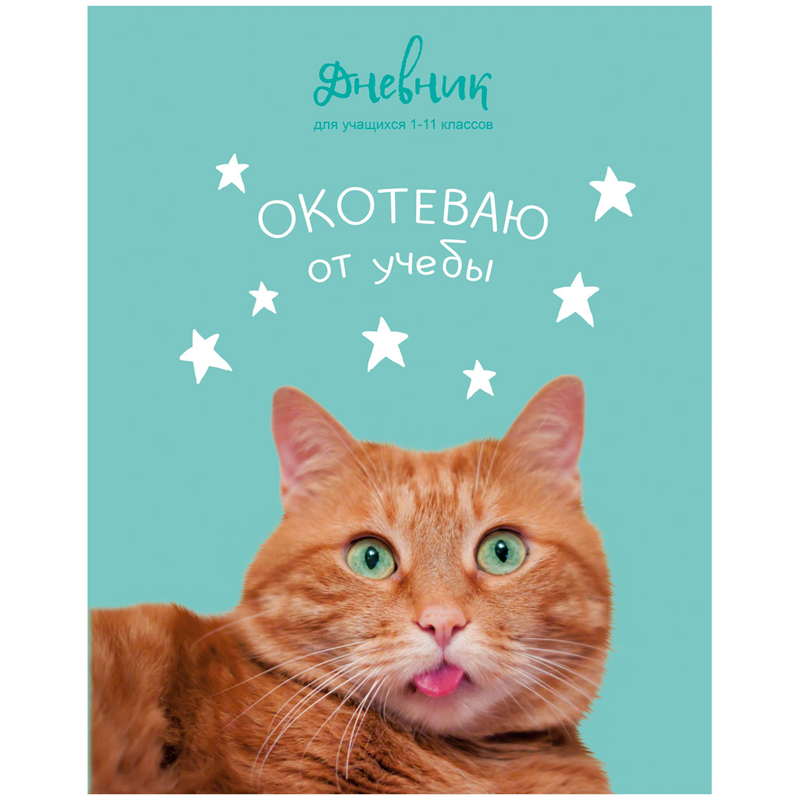 Дневник 1-11 кл. 40л. (твердый) BG "Я окотеваю от учебы", матовая ламинация