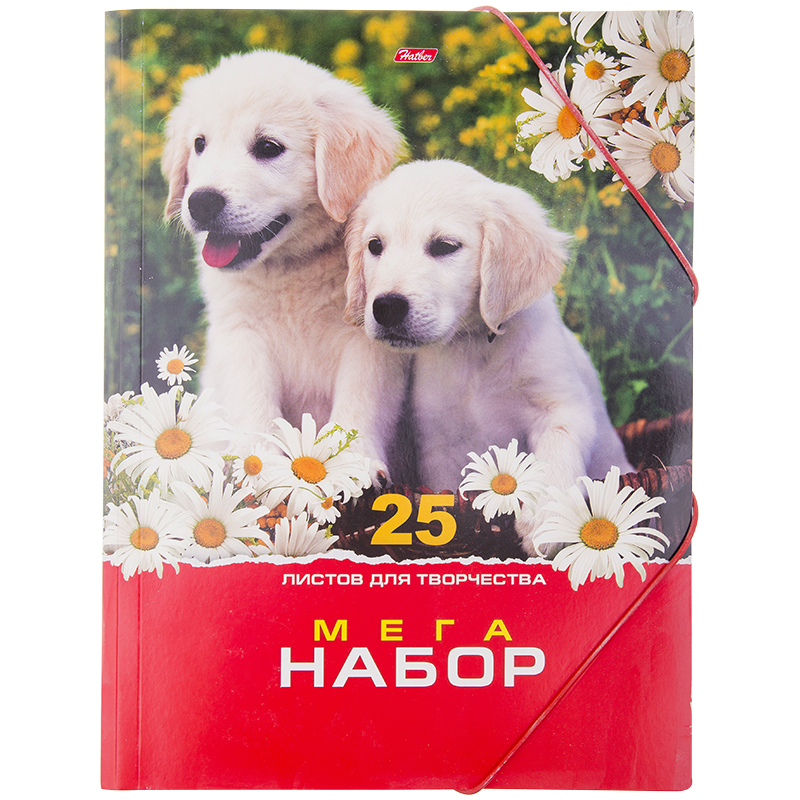 Набор цв.картона и цв.бумаги 25л. А4 МЕГА "Щенки в ромашках" в папке на резинке