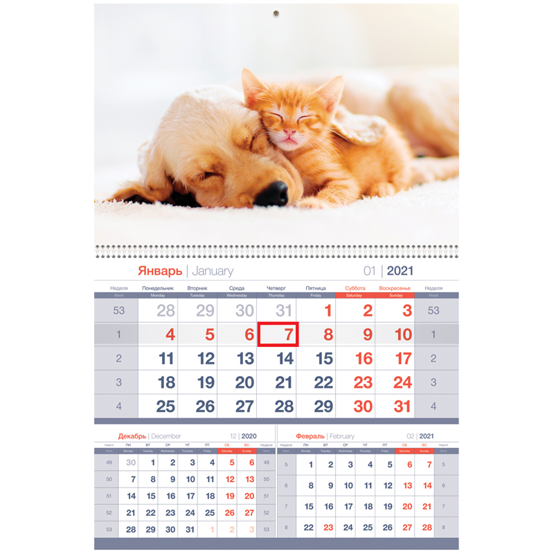 Календарь квартальный 1 бл. на 1 гр. OfficeSpace Mono premium "Верные друзья", с бегунком, 2021г.
