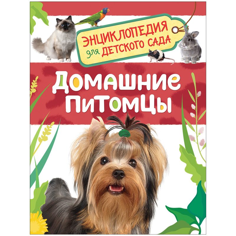 Энциклопедия Росмэн 162*215, "Домашние питомцы", 48стр.