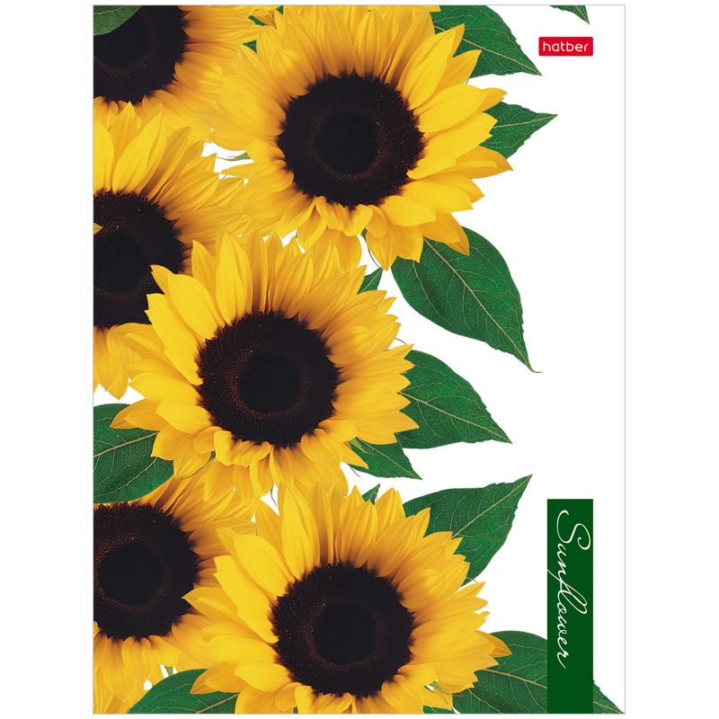 Тетрадь на кольцах А5, 160л., Hatber "Sunflowers", глянцевая ламинация