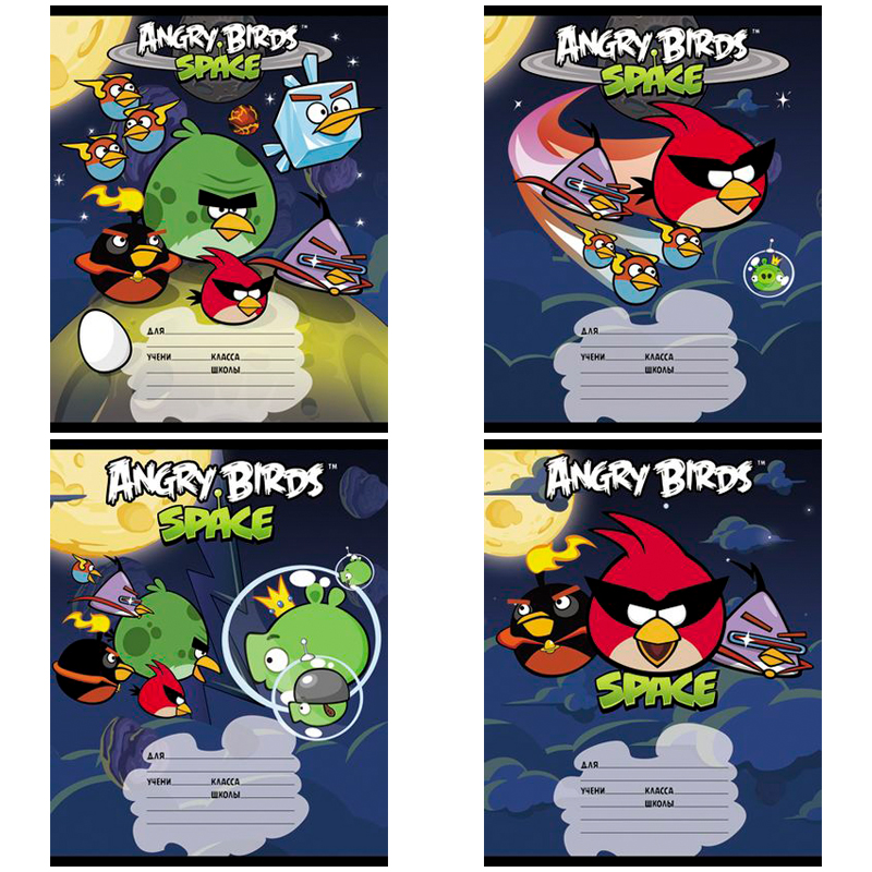 Тетрадь 12л. линия "ANGRY BIRDS-Spase"