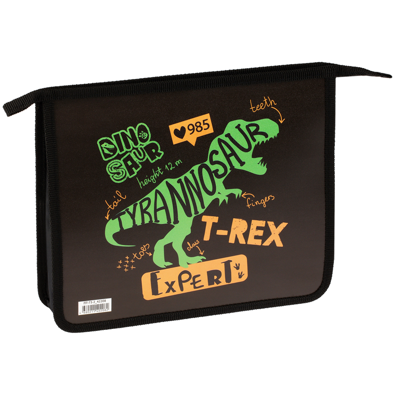 Папка для тетрадей 2 отделения А5 ArtSpace "T-Rex", пластик, на молнии