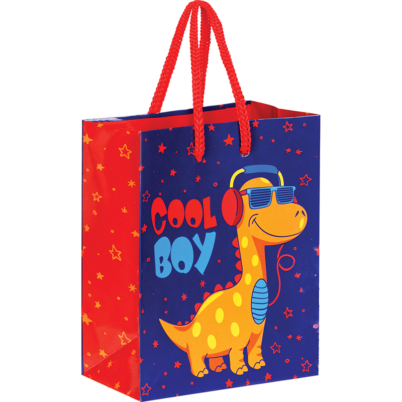 Пакет подарочный 11*14*6,5см ArtSpace "Cool Boy", ламинированный