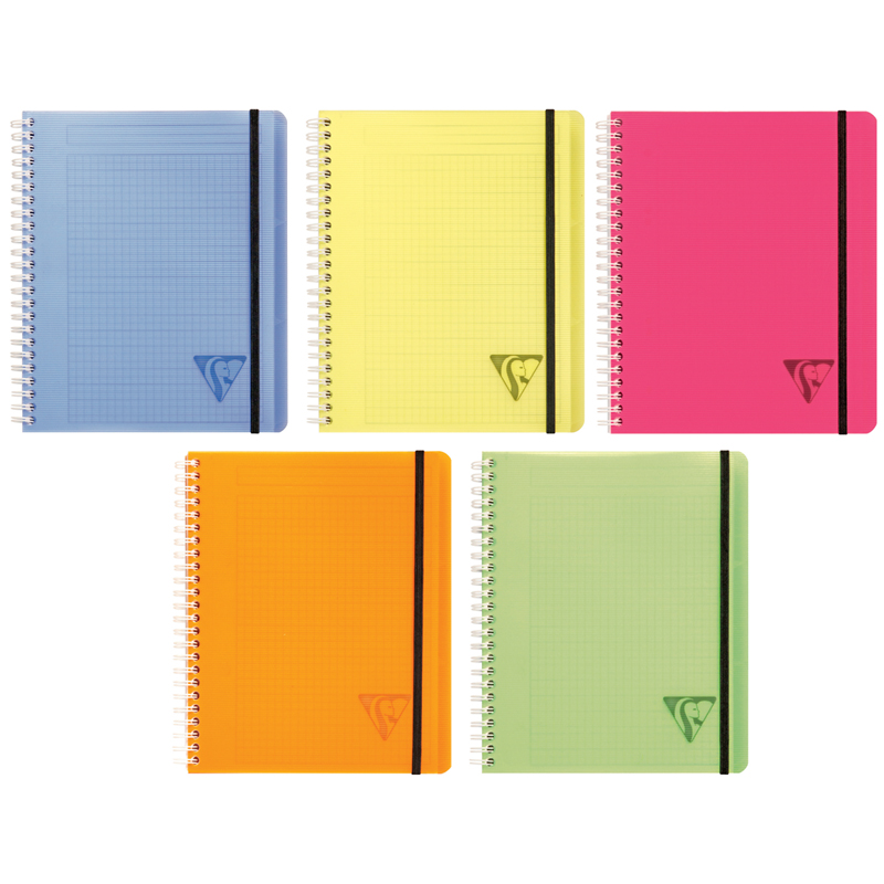 Бизнес-тетрадь 90л., А5+, клетка на гребне Clairefontaine "Proactiv'Book", 90г/м2, пластик. обложка