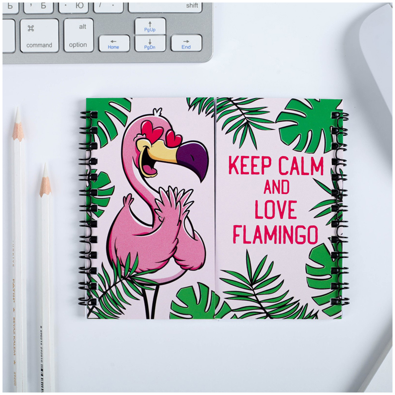 Записная книжка А6 48л. на гребне двойная ArtFox "Ping flaningo"