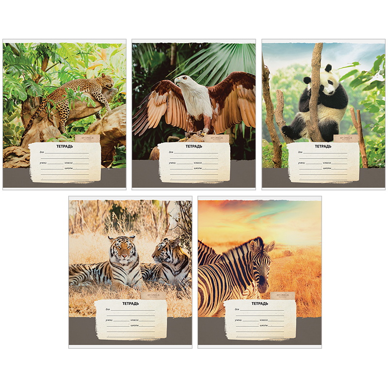 Тетрадь 12л., косая линия ArtSpace "Природа. Wild animals"