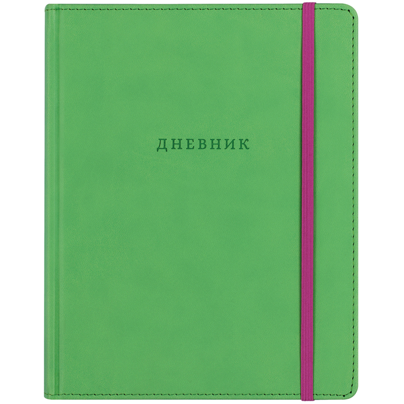 Дневник 1-11 кл. 48л. (твердый) BG "Яркий акцент (фисташковый)", иск. кожа, термотиснение, ляссе, резинка