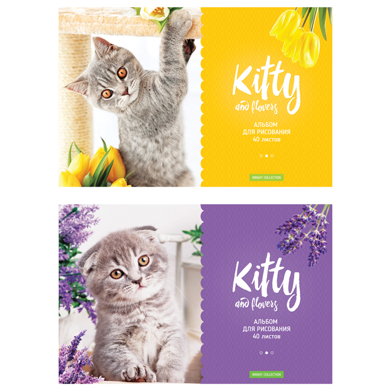 Альбом для рисования 40л., А4, на скрепке ArtSpace "Kitty&Flower"