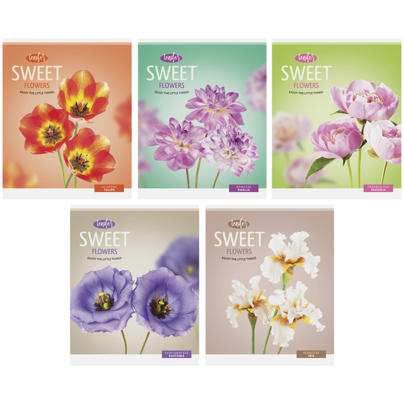 Тетрадь 48л., А5, клетка ArtSpace "Цветы. Sweet flower"