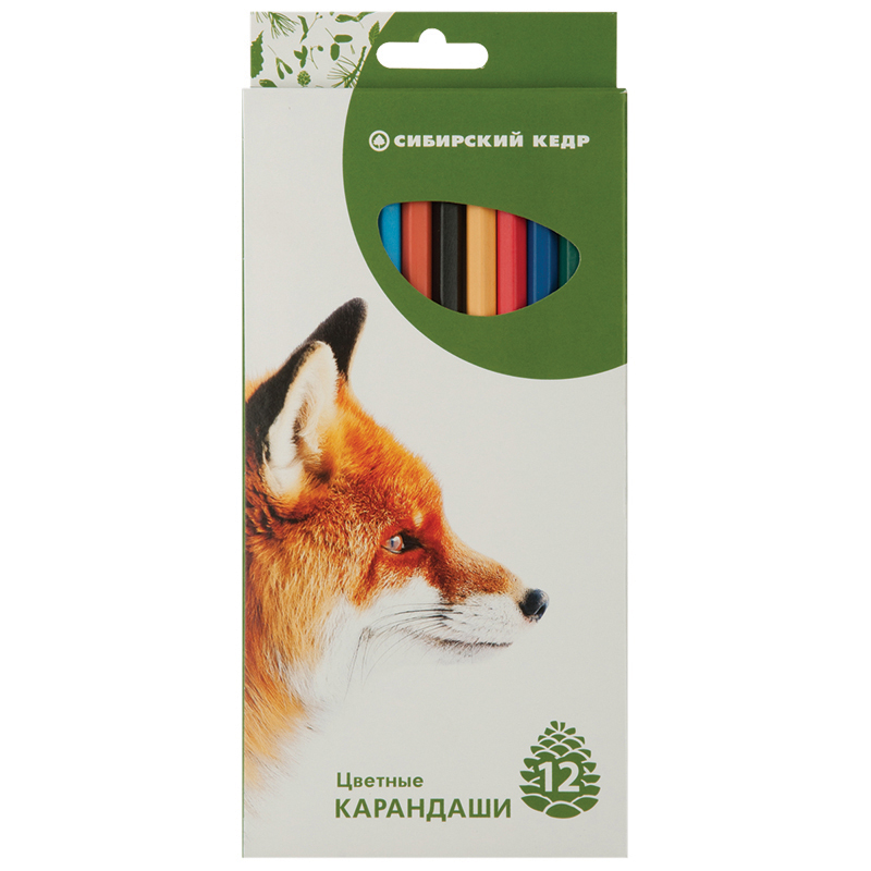 Карандаши цветные Сибирский кедр "Звери", 12цв., заточен., картон, европодвес
