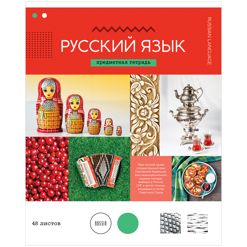 Тетрадь предметная 48л. ArtSpace "В мире науки" - Русский язык, ВД-лак
