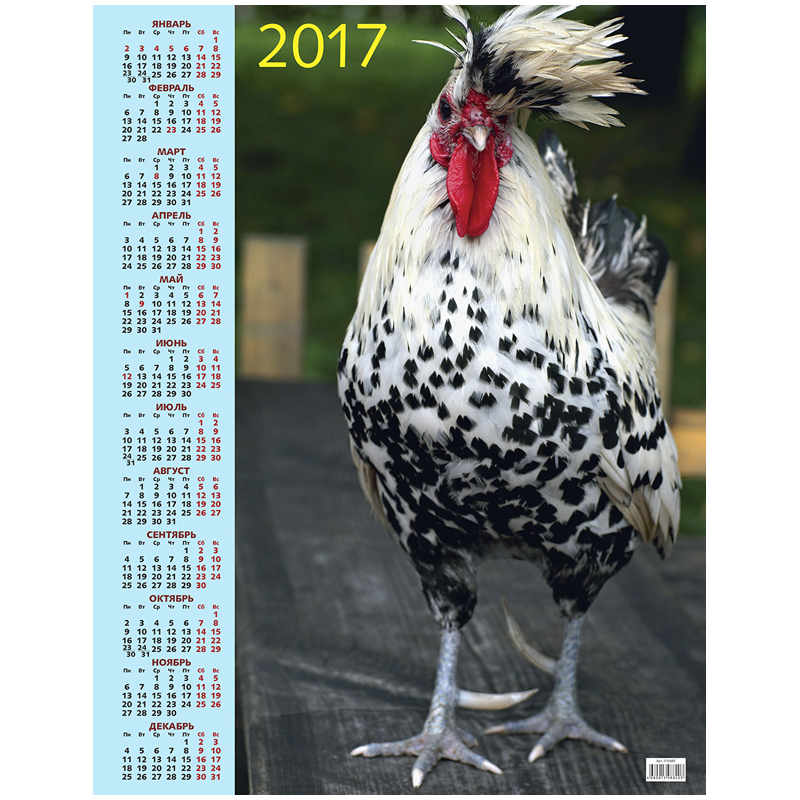 Календарь настенный листовой А2 "Символ года", 2017 г.