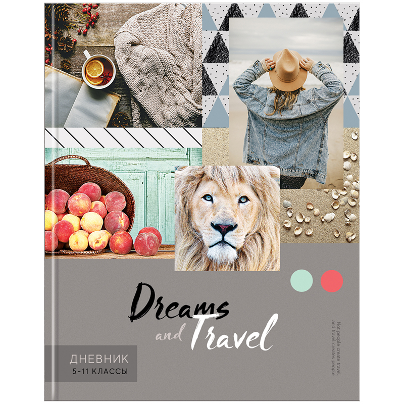 Дневник 5-11 кл. 48л. ЛАЙТ ArtSpace "Стиль. Dreams and travel", матовая ламинация