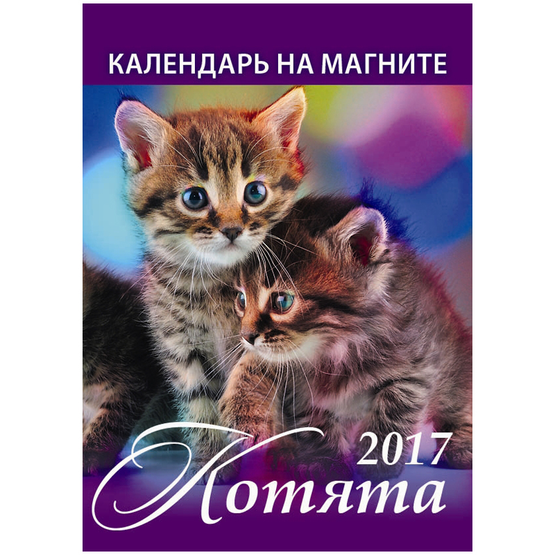 Отрывной календарь на магните "Котята" на 2017 г.