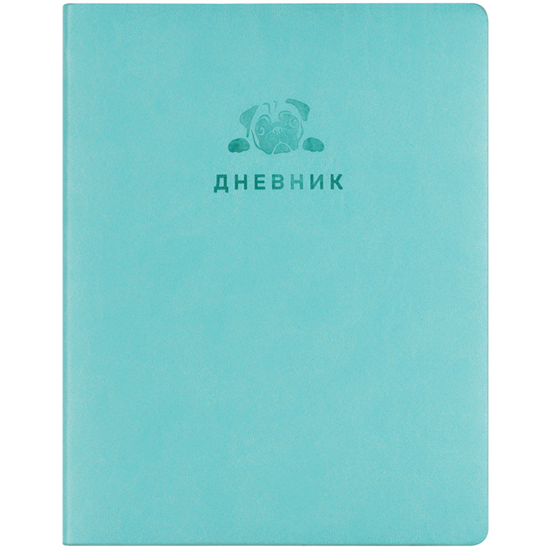 Дневник 1-11 кл. 48л. ЛАЙТ BG "Monocolor (бирюзовый)", иск. кожа, термотиснение, ляссе