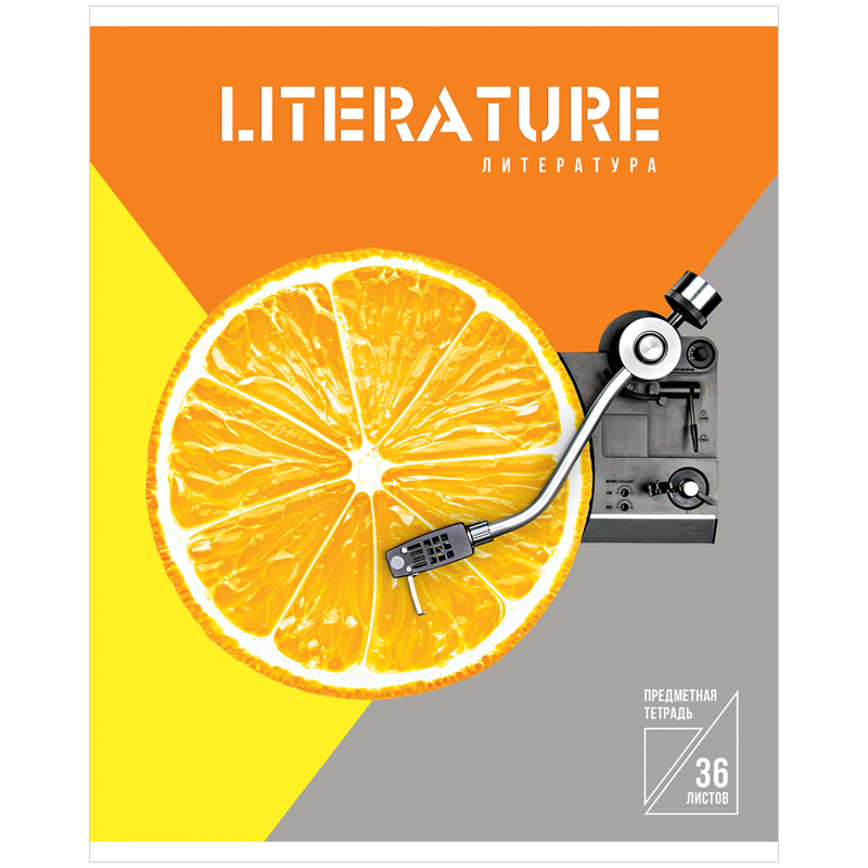 Тетрадь предметная 36л. ArtSpace "Вкус к знаниям" - Литература, ВД-лак