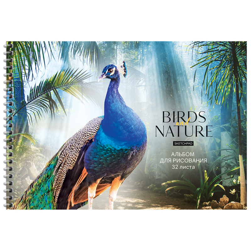 Альбом для рисования 32л., А4, на гребне ArtSpace "Животные. Birds and nature"