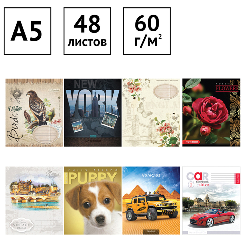 Тетрадь 48л., А5, клетка ArtSpace "Микс. Ассорти", суперэконом