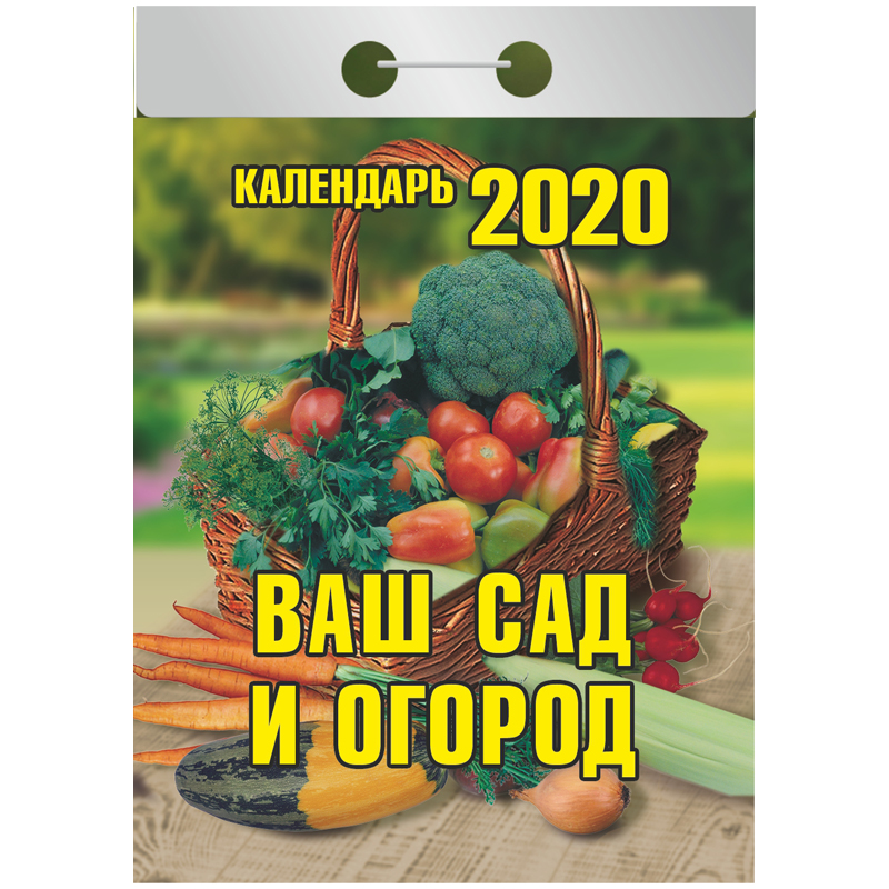 Отрывной календарь Атберг 98 "Ваш сад и огород" на 2020г.