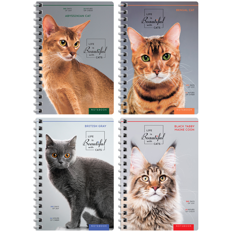 Записная книжка А6 120л. на гребне "Питомцы. Beautiful cats"