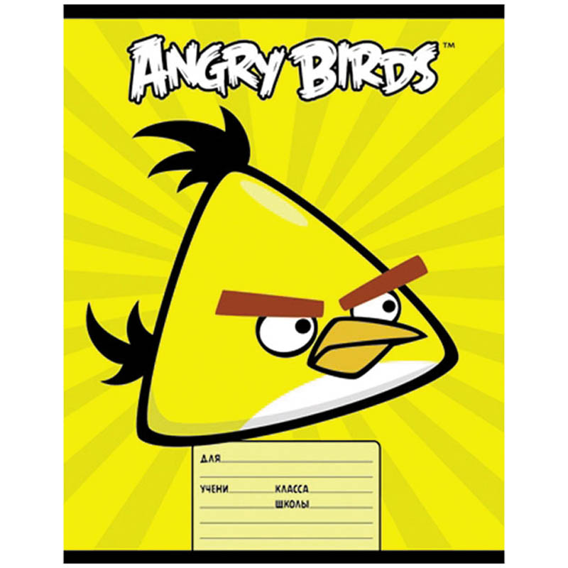 Тетрадь 18л. линия "ANGRY BIRDS"