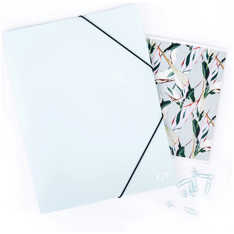 Папка на резинке MESHU "Dew" А4, 500мкм, mint candy
